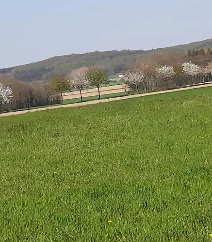 A&p 公寓 巴特萨尔茨乌夫伦